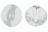 Kryształki Akrylowe Rivoli Silver 14mm